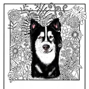 Custom pet portraits!